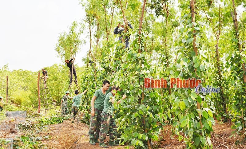 D&acirc;n vận tốt để giữ g&igrave;n v&agrave; bảo vệ bi&ecirc;n cương