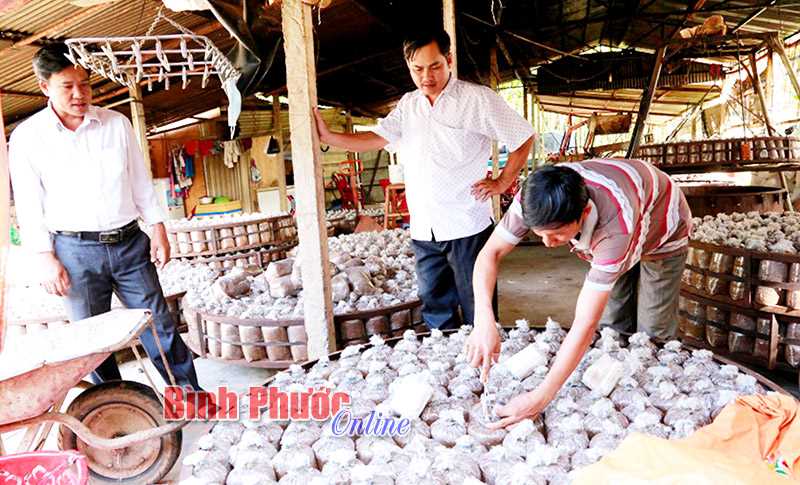 Tạo cơ hội từ vốn ngân hàng chính sách