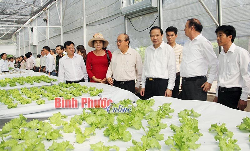 Đến năm 2020, kinh tế tư nhân đóng góp 75% GRDP của tỉnh