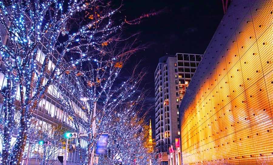 Du lịch qu&ecirc;n lối về ở Tokyo mỗi m&ugrave;a đ&ocirc;ng sang