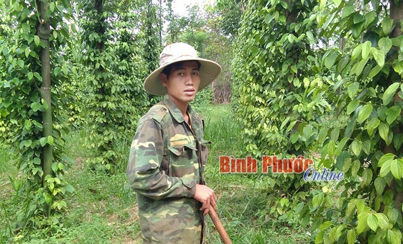 Điểm s&aacute;ng về x&acirc;y dựng đảng