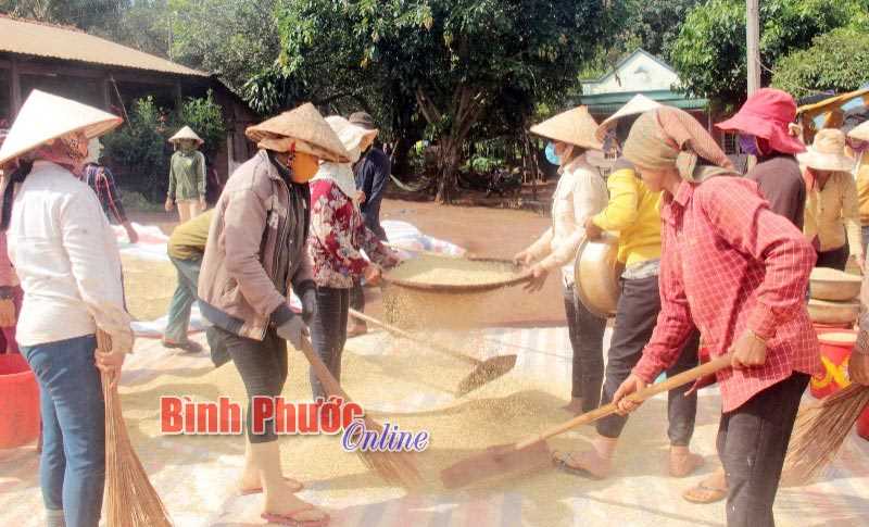 Đồng bào thôn Khắc Khoan giúp nhau phát triển sản xuất