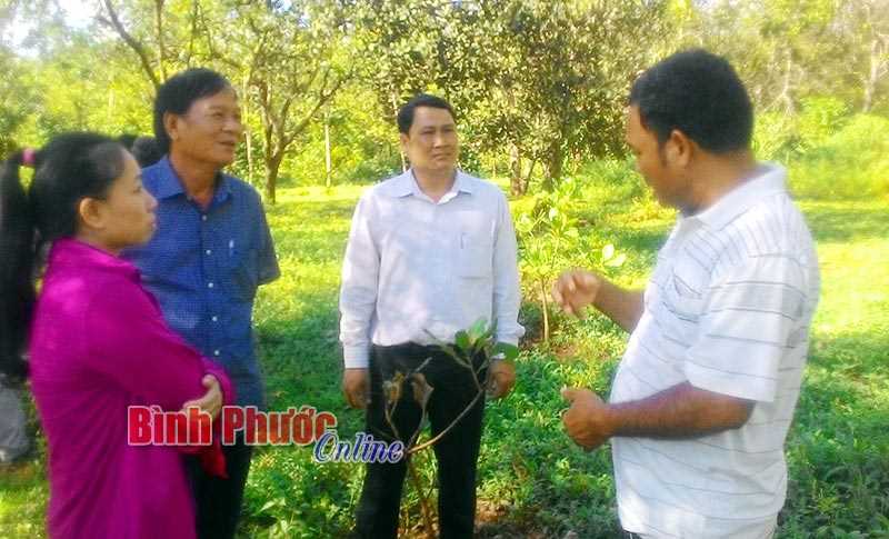 Kết quả t&iacute;ch cực sau 2 năm thực hiện Nghị quyết Đảng bộ tỉnh về c&ocirc;ng t&aacute;c d&acirc;n vận