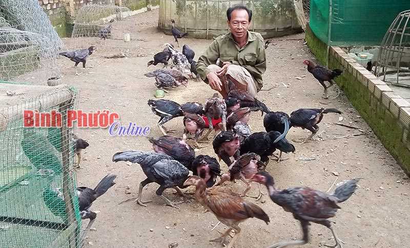 Hạnh phúc của ông “Dũng lá nhíp”