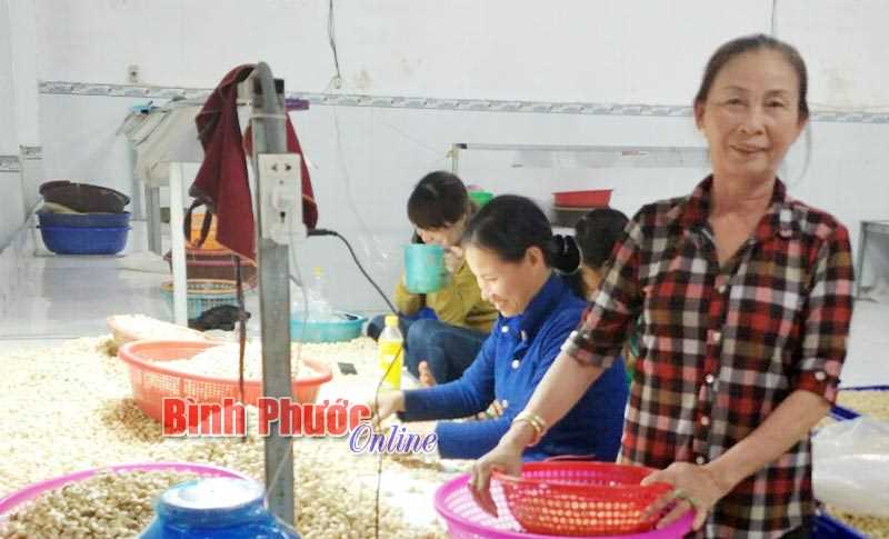 Hoa giữa đời thường