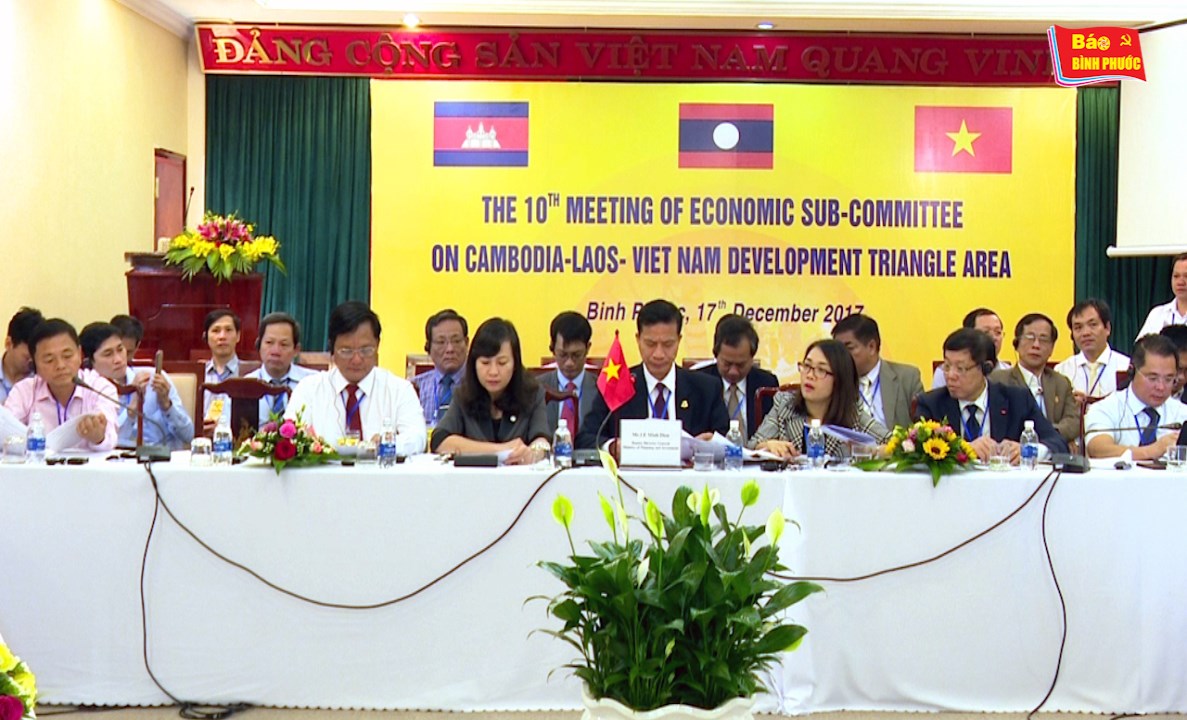 [Video] Hội nghị Tiểu ban kinh tế lần thứ 10 khu vực tam giác phát triển C-L- V