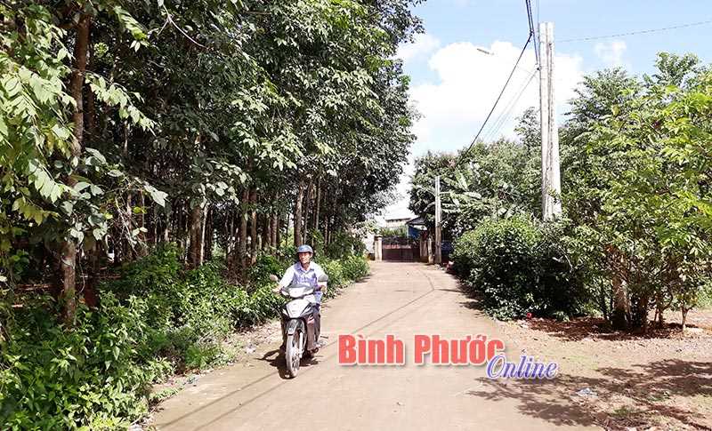 Hội Chữ thập đỏ Đồng Xoài hoàn thành “Thắp sáng tuyến đường nông thôn”