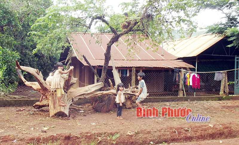 Long Hà: 11 hộ được tặng nhà từ chương trình “Nghĩa tình Sông Bé yêu thương”