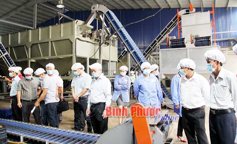 Thành công nhờ đầu tư đúng hướng