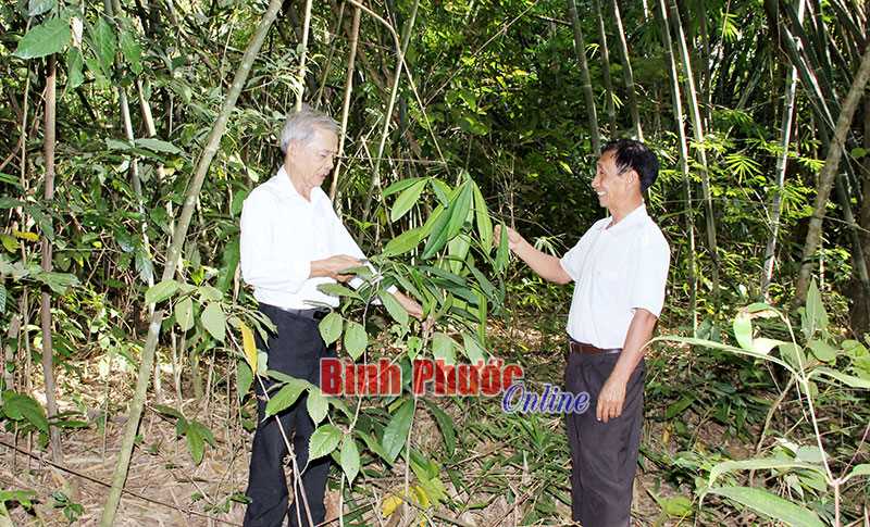 Lên rừng ngắm sông