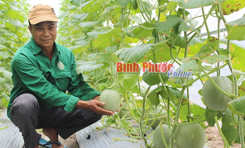 Hớn Quản đẩy mạnh ph&aacute;t triển kinh tế hợp t&aacute;c