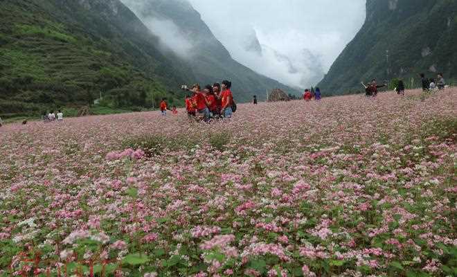 Cảnh đẹp say l&ograve;ng người của H&agrave; Giang