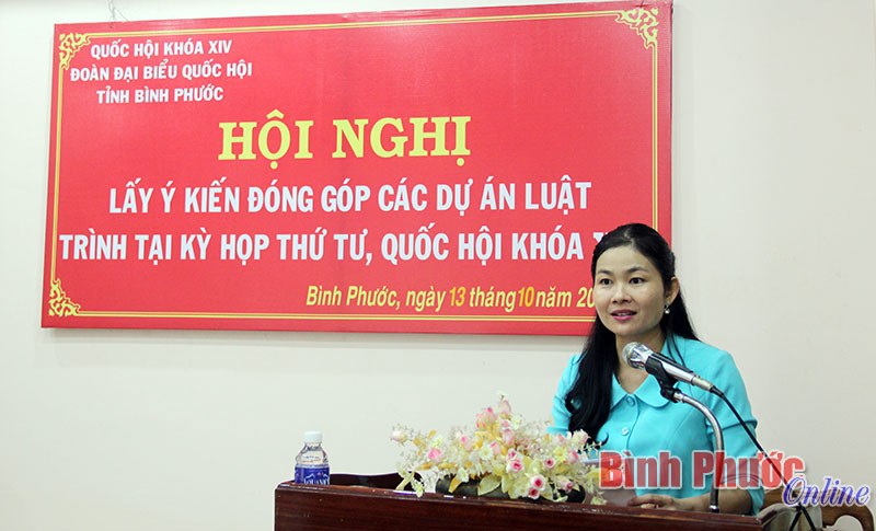 Đo&agrave;n đại biểu Quốc hội lấy &yacute; kiến đ&oacute;ng g&oacute;p 2 dự &aacute;n luật