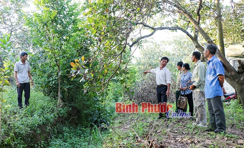 Khi người d&acirc;n chung tay ph&ograve;ng, chống tội phạm