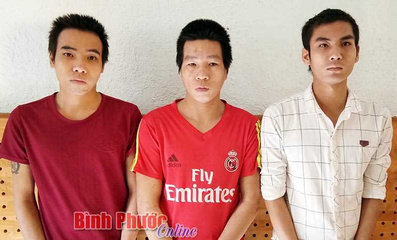 Khởi tố h&igrave;nh sự vụ chặt hạ 4 c&acirc;y gỗ cẩm lai