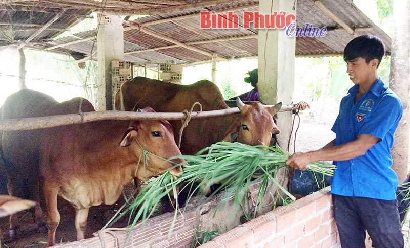 Làm giàu nhờ chọn mô hình phù hợp