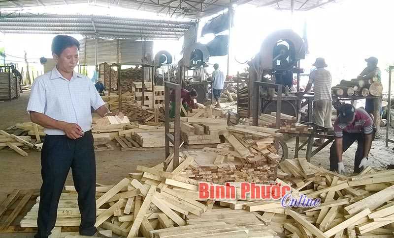 Làm giàu từ sản xuất - kinh doanh đa nghề