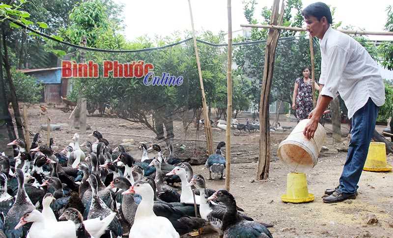 Làm giàu từ kinh tế tổng hợp