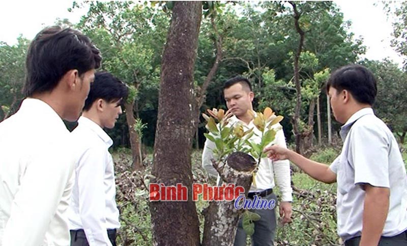 Để Luật Hợp t&aacute;c x&atilde; năm 2012 đi v&agrave;o thực tiễn