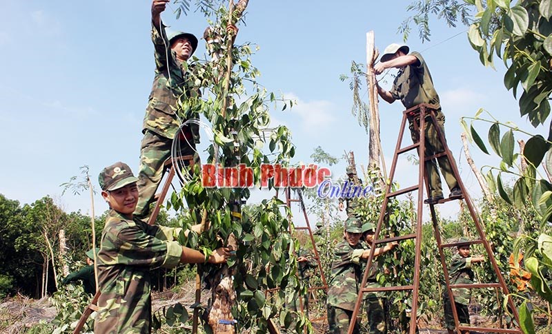 Lực lượng vũ trang Lộc Ninh - Xứng đ&aacute;ng danh hiệu Quyết thắng