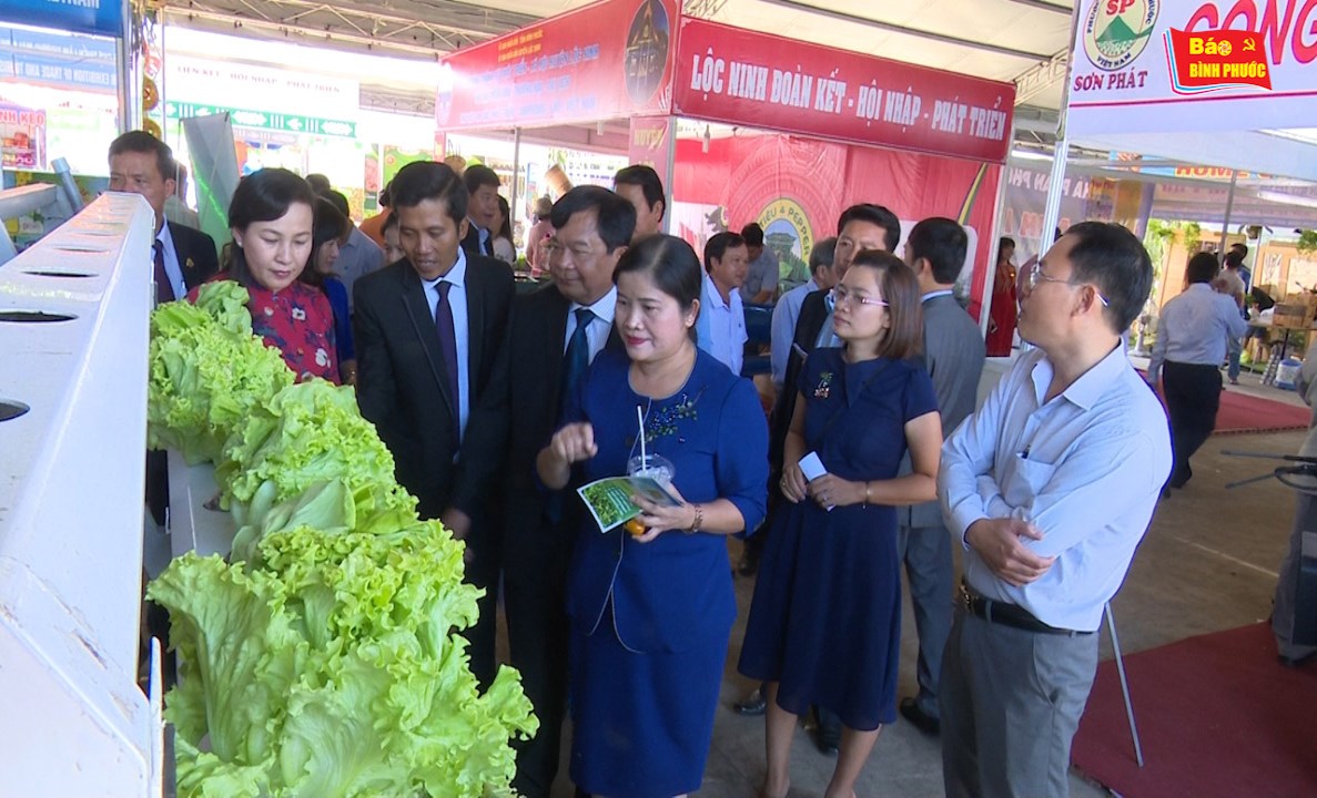 [Video] Khai mạc hội chợ triển lãm thương mại - du lịch C-L-V