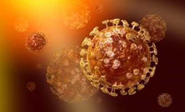 Phát hiện mới về virus MERS-CoV khiến nhiều người lo lắng