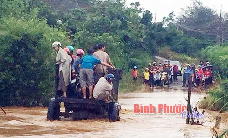 Mưa lớn gây ngập đường liên thôn