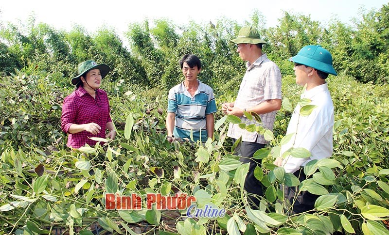 Những đột ph&aacute; trong c&ocirc;ng t&aacute;c d&acirc;n vận