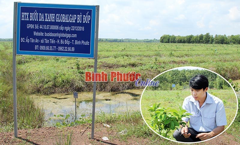 Niềm vui phía sau sổ đỏ