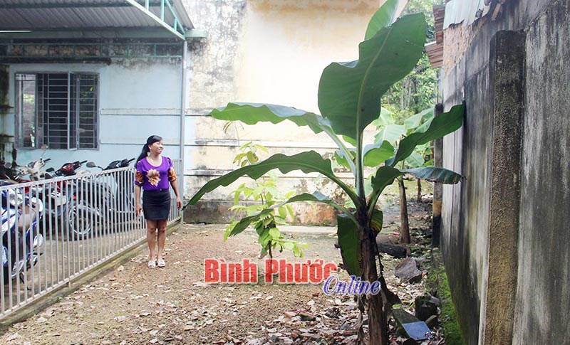 “Nín thở” dạy và học ở Trường mầm non Hoa Mai