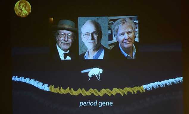 Công trình đoạt Nobel Y học giải mã cơ chế của đồng hồ sinh học