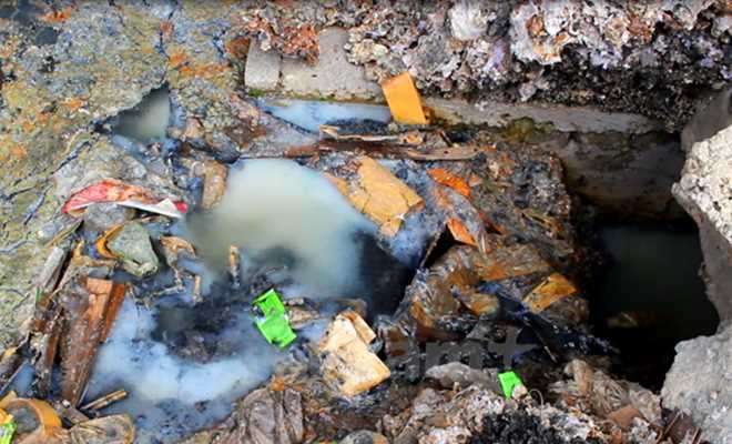 Phát hiện ô nhiễm môi trường hãy gọi tới đường dây nóng 086.900.0660