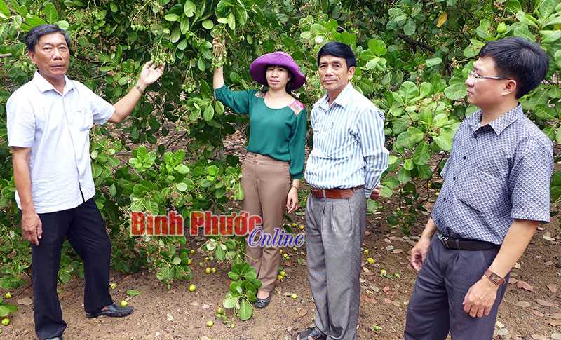 Đồng Xoài: Giải ngân quỹ hỗ trợ nông dân 1 tỷ 350 triệu đồng