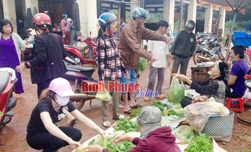 Đưa rau sạch đến phục vụ mọi nhà