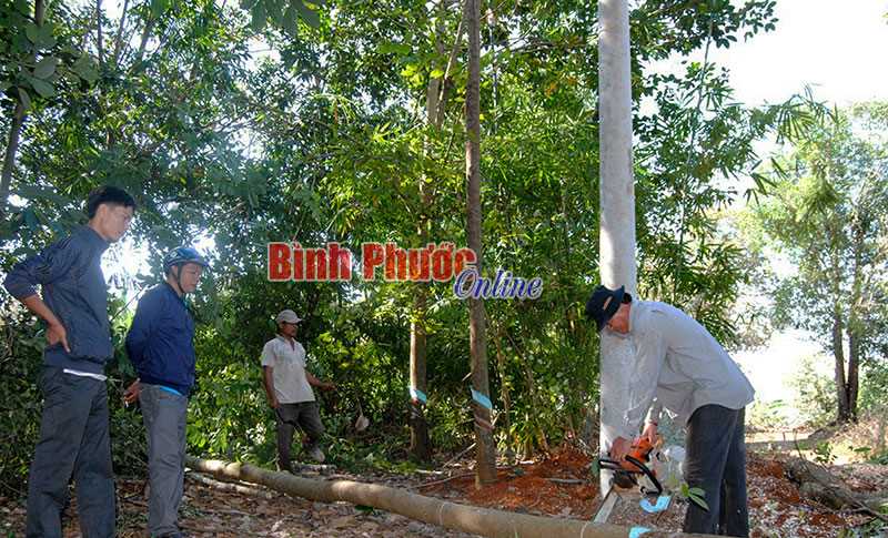 Đưa điện về v&ugrave;ng s&acirc;u