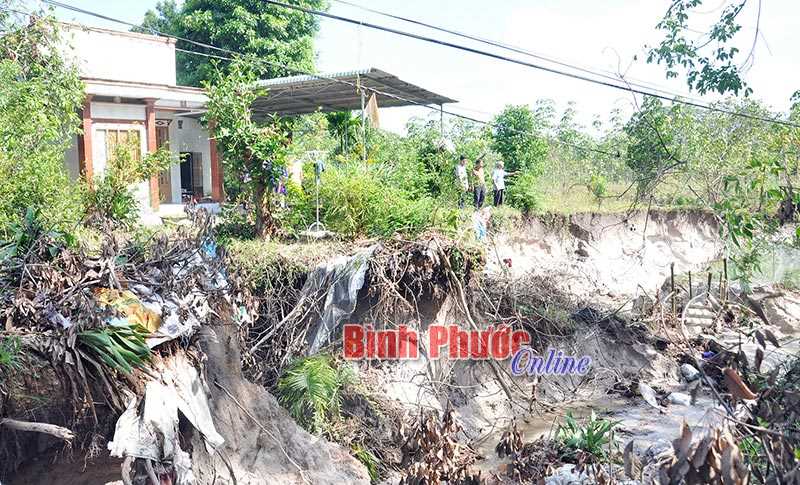 Sẽ khắc phục sạt lở đất ở Tân Khai và Phước An