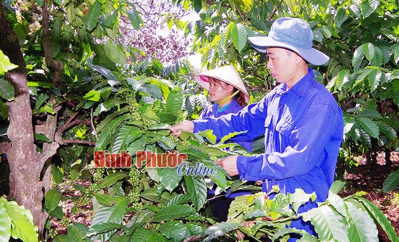 Thấm nhuần &ldquo;cần&rdquo;, &ldquo;kiệm&rdquo; từ học v&agrave; l&agrave;m theo B&aacute;c