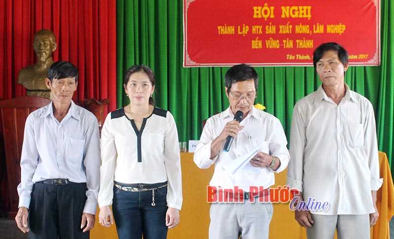 Thành lập Hợp tác xã nông - lâm nghiệp bền vững Tân Thành