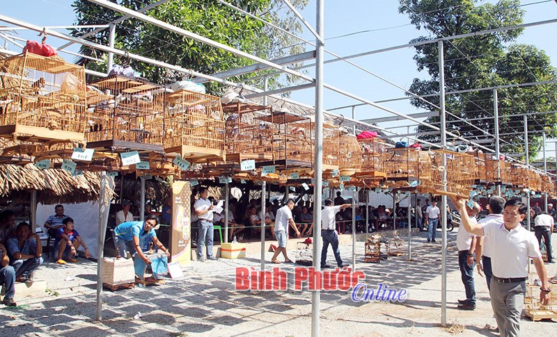 Thi tiếng h&oacute;t chim ch&agrave;o m&agrave;o to&agrave;n tỉnh lần 8/2017