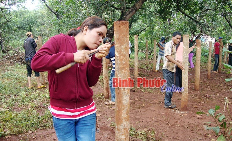 Tiếp sức đồng bào nghèo vùng DTTS và miền núi