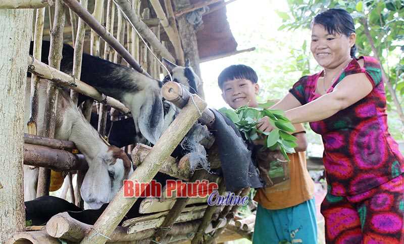 Trao sinh kế giúp phụ nữ thoát nghèo