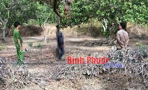 Gọi điện thoại bạn gái không được, một thanh niên treo cổ tự vẫn?