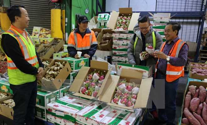 Việt Nam cần những giải pháp dài hơi để nâng cao hàng xuất khẩu