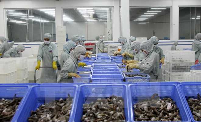 Hải sản Việt Nam "lo lắng" vì luật mới của Mỹ sắp có hiệu lực