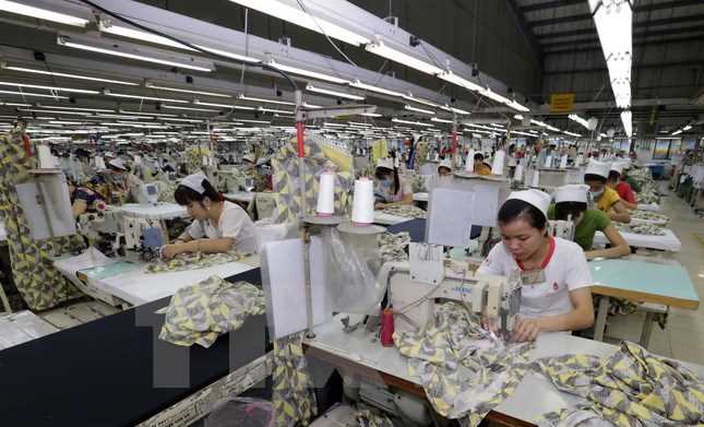 Các doanh nghiệp xuất khẩu sẽ hưởng lợi khi Việt Nam tham gia TPP