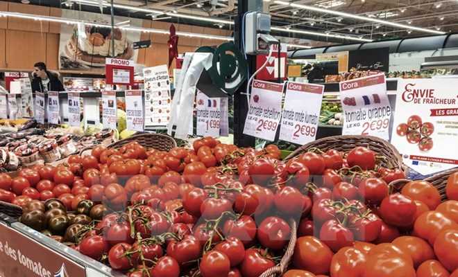 Rau quả tươi giúp phục hồi tổn thương phổi ở người đã cai thuốc