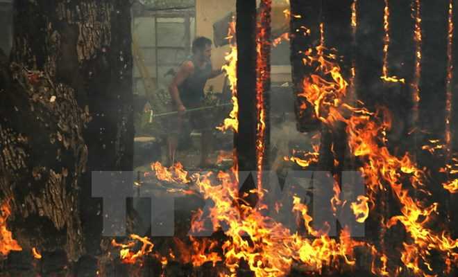 23 người thiệt mạng, 550 người mất tích sau thảm họa cháy rừng ở Mỹ