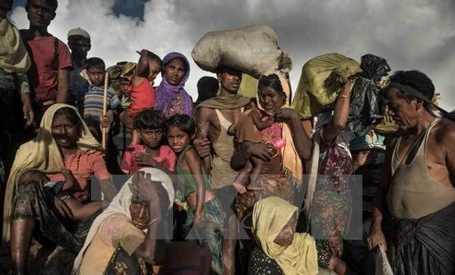Lãnh đạo quân đội Myanmar không nhượng bộ trong vấn đề Rohingya