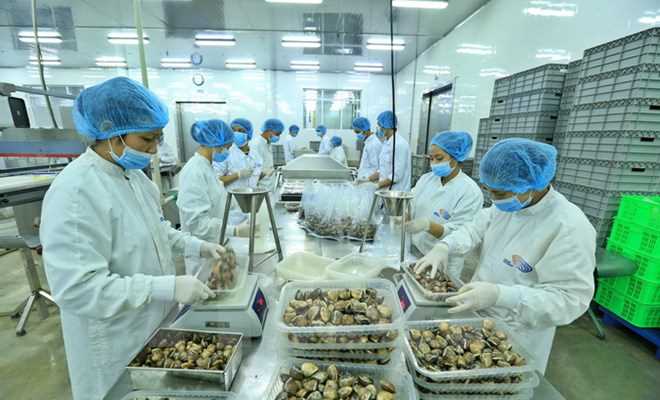 Xuất khẩu của Việt Nam khả năng vượt 212 tỷ USD trong năm 2017