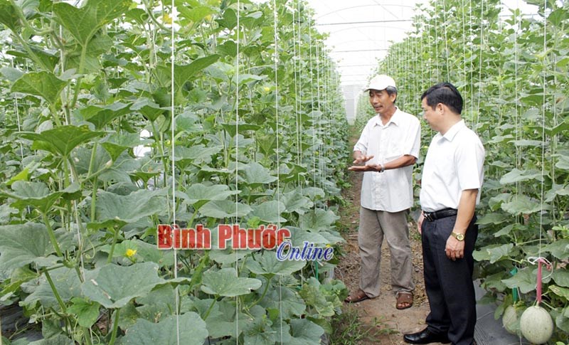 Với nông nghiệp công nghệ cao, nông dân không còn mang “tiếng ác”!